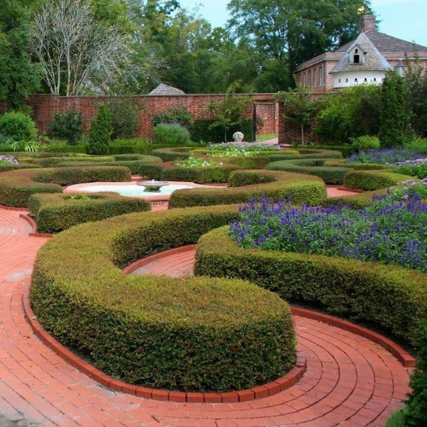 formal garden design
